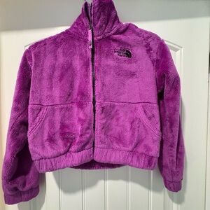 The North Face Kids' Plush Purple Jacket